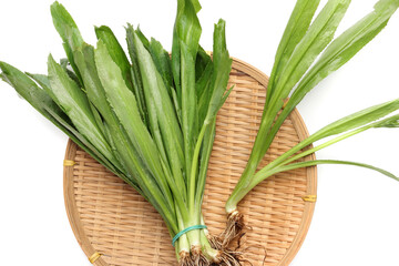 Ngo Gai leafs thai parsley fragrant herb condiment on white background