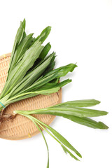 Ngo Gai leafs thai parsley fragrant herb condiment on white background