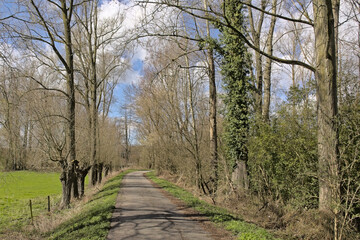Hiking trail along bare trees in the flemish countryside near Schoonaarde