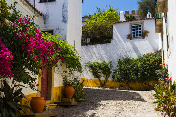 Flowered houses in Óbidos , Portugal
