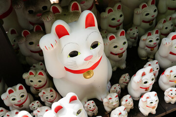 Fototapeta na wymiar 豪徳寺の招き猫