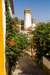 Flowered houses in Óbidos , Portugal