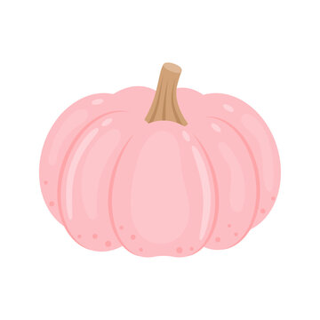Porcelain doll pink pumpkin whole vegetable isolated on white background. Cucurbita maxima. Porcelain princess squash icon. Vector illustration of vegetables in flat style.