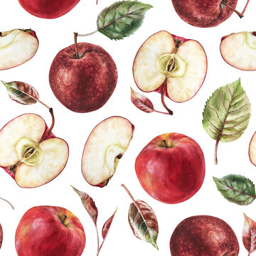 Apple seamless Pattern. Watercolor botanical illustration of red Fruit. Hand drawn autumn food on isolated white background. For the design of fabric and paper. Drawing of plants for kitchen textiles