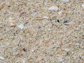 Macro shot of river sand with fragments of shells on the beach