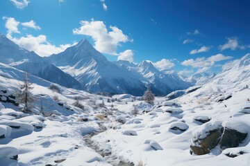 Fototapeta na wymiar beautiful snowy landscape with the mountains