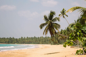 Tropical beach in paradise caribbean