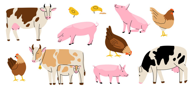 Farm animal. Cows different breeds, pigs and hens. Cute hand drawn funny contemporary drawing livestock, milk and meat, standing mammal cartoon flat isolated vector illustration