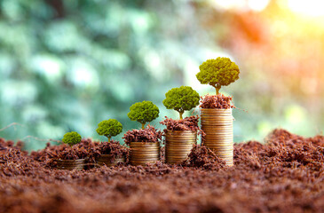 invest concept. Green tree growing on gold coins. Growing power of compound interest. Prosperous stock investment. Savings. Financial graph showing inflation. stock market chart growth investment.