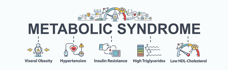 Metabolic Syndrome banner web icon vector concept with an icon of Hypertension, Insulin Resistance, High Triglycerides, Low HDL-Cholesterol and Visceral Obesity. Minimal cartoon infographic.