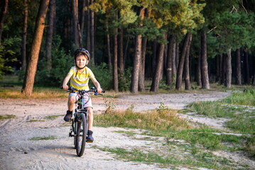 Naklejka premium Portrait of happy active teenage boy in safety helmet relaxing after school riding his bike in beautiful park on sunny autumn day