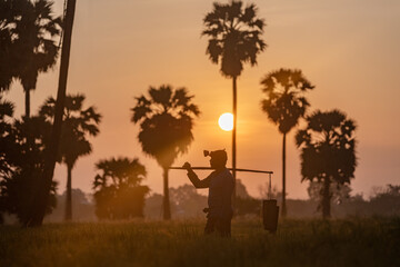 Silhouette old man with lighten on head carrying things walk pass rice field on sunrise time ,lifestyle of farmer in Vietnam with sugar palm tree background.