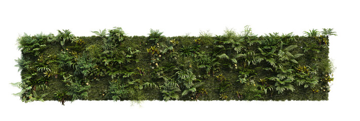 A variety of tropical plants to decorate a vertical garden on a transparent background.