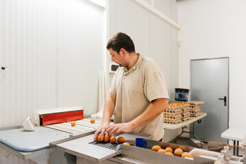 Man controlling fresh eggs in henhouse © GALDRIC