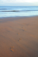 Human footprints in the sand on a beach at Hartlepool, County Durham, England, UK.