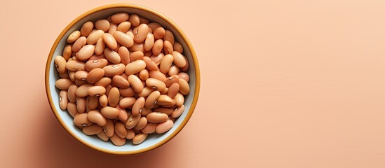 pinto legumes isolated pastel background Copy space