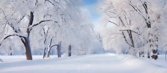 Winter in the countryside with snowy trees isolated pastel background Copy space