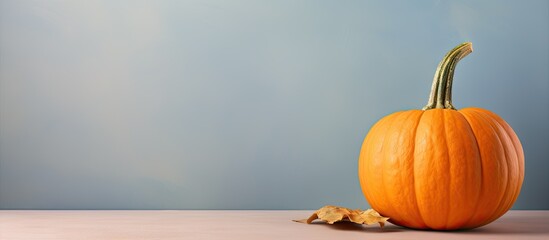 Pumpkin in Laos isolated pastel background Copy space