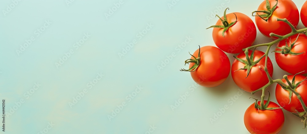 Poster tomatoes on isolated pastel background copy space