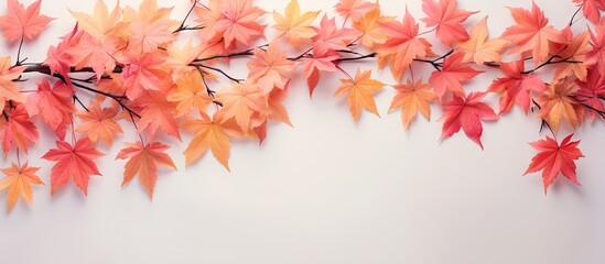 Maple leaves during autumn against isolated pastel background Copy space