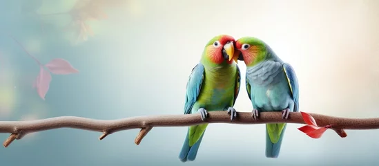 Fotobehang Two Lovebird parrots one blue and one green kissing while perched on a branch isolated pastel background Copy space © HN Works
