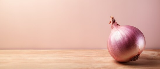 Onion on a isolated pastel background Copy space with space for text