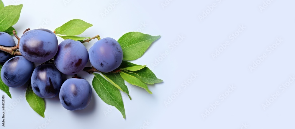 Poster packaging design with isolated blue plums on a isolated pastel background copy space including a cli