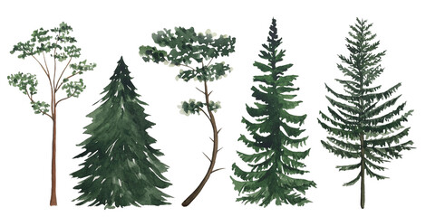 Abstract watercolor trees isolated on white background. Landscape element