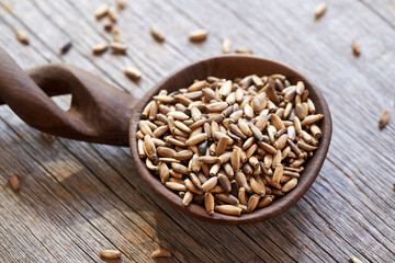 Milk thistle seeds on a spoon on a table