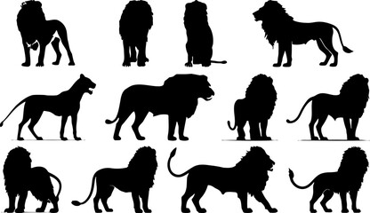 Lion Silhouette Illustration Set