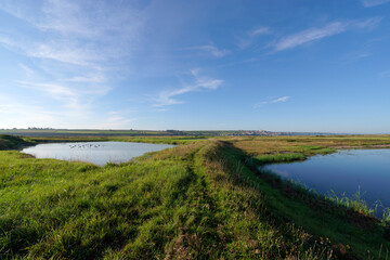 Obraz premium Swamps and meadows of the Hable of Ault in Picardy coast