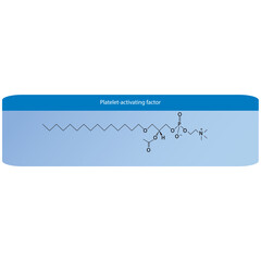 Structure of PAF (Platelet activating factor) biomolecule, skeletal structure diagram on on yellow background. Scientific diagram vector illustration.