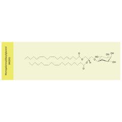 Monogalactosyldiacylglycerol (MGDG) molecular strcuture vector illustration. Scientific diagram of chloroplast memebrane component on on yellow background. Vector illustration.