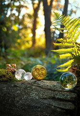 moon amulet and crystal balls on tree stump in forest, abstract natural background. esoteric...