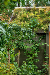 Obraz premium green roof, providing insulation and reducing energy costs in eco-friendly home