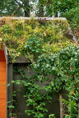 green roof, providing insulation and reducing energy costs in eco-friendly home