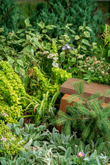 nice garden with wooden bench