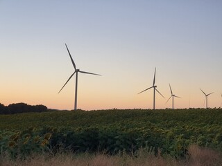 Obraz premium Wind Turbines