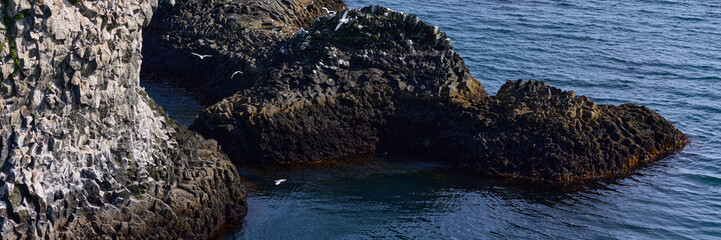 Iceland. Arnarstapi - picturesque volcanic rock cliffs on the Snaefellsnes peninsula. Habitat of...