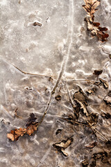 Spring ground covered with thawing snow