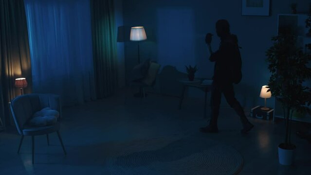 Video of two burglars going around the dark apartment with flashlights on. Camera goes down, revealing the owner, tenant, who is sleeping on the couch right next to them.