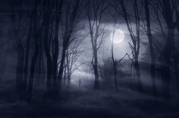 man silhouette in dark spooky moon lit forest at night