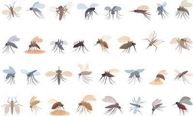 Mosquito icons set cartoon vector. Fly insect. Spray bug - obrazy, fototapety, plakaty