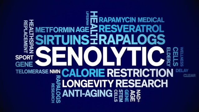 Senolytic animated tag word cloud;text design animation kinetic typography seamless loop.