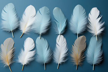 Easter white blue soft small feathers on blue background