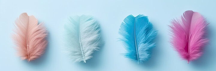 Easter background with blue decorative feathers on blue background, banner