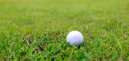 Close-up of Golf ball on the grass green
