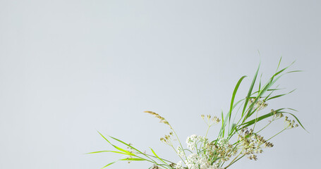 arrangement of wild flowers and plants on  gray background