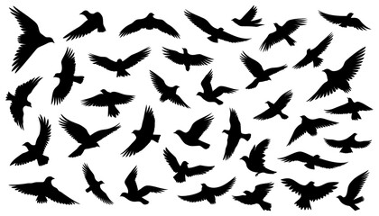 Set of silhouettes of flying birds in a flat style on a white background. Vector illustration