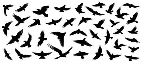 Naklejka premium Set of silhouettes of flying birds in a flat style on a white background. Vector illustration